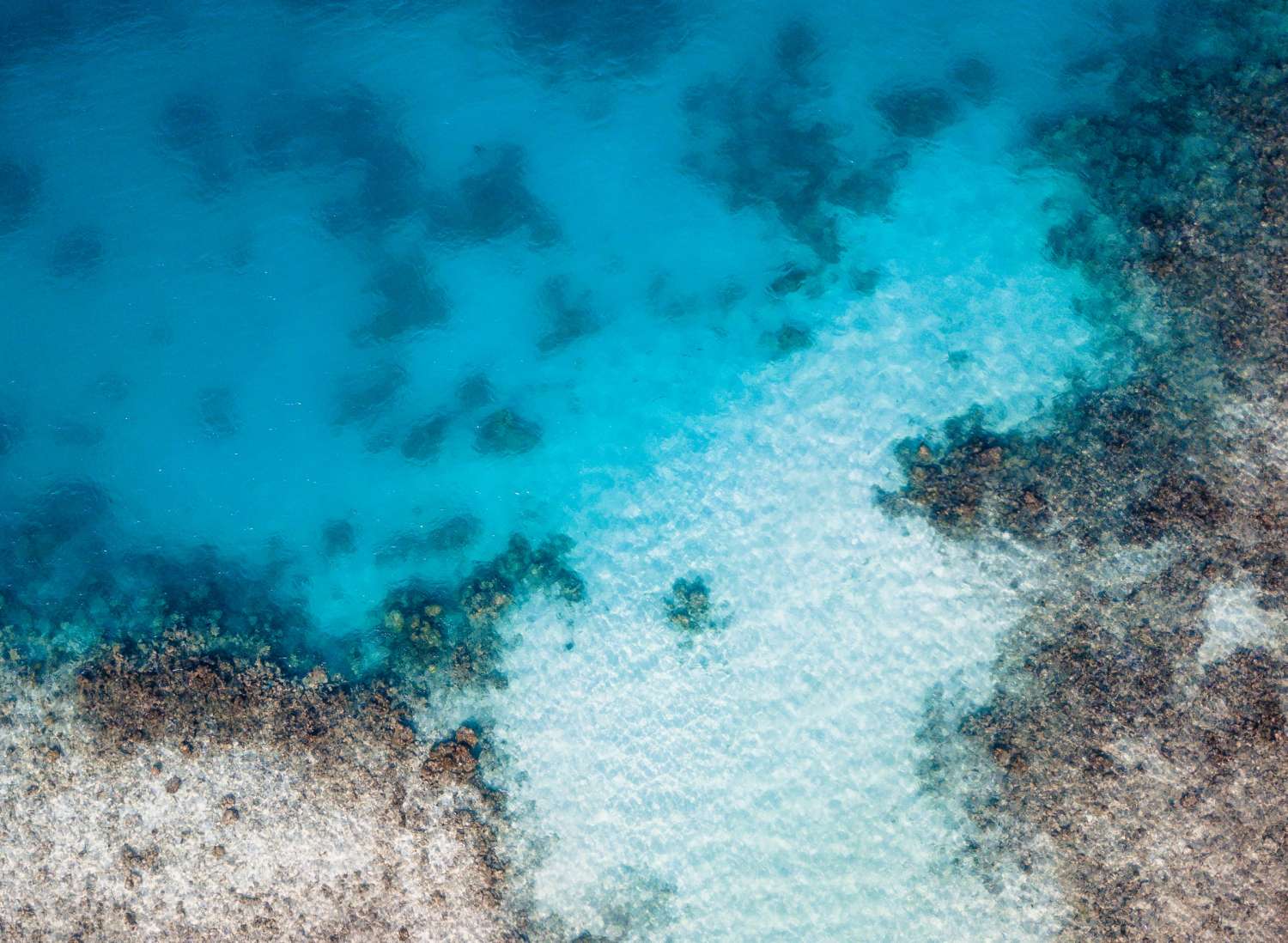 Hussain faruhaan xoel0hndub0 unsplash